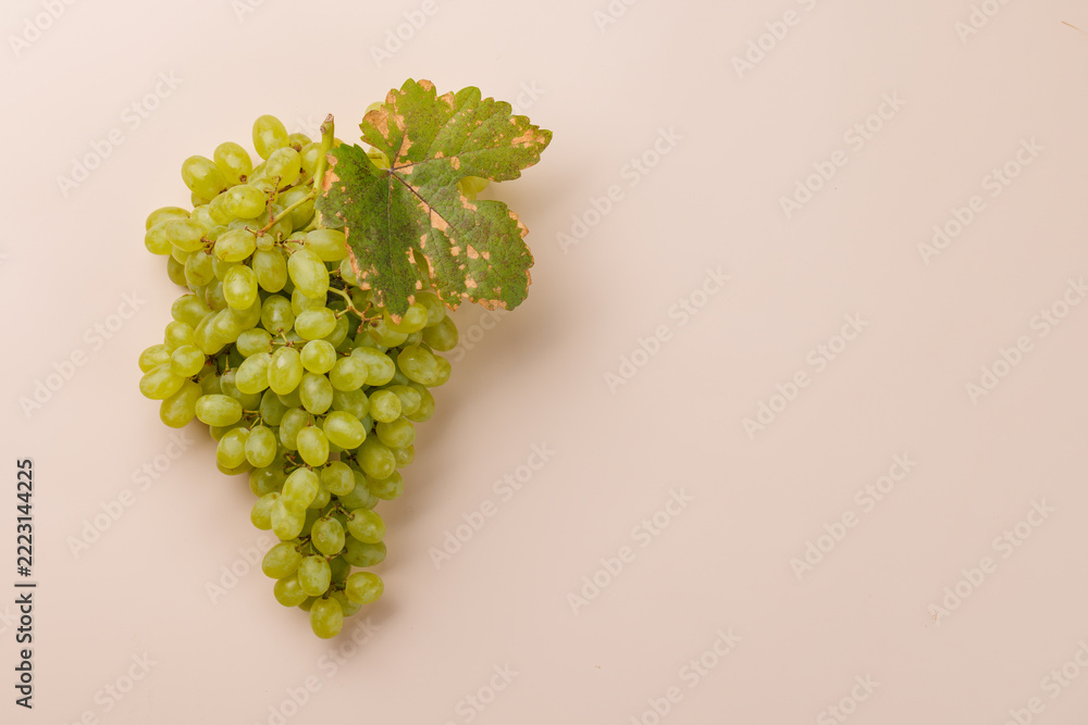 Fototapeta premium Green grapes with vine leaves on a soft pastel background