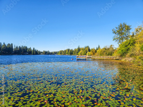 Martha Lake