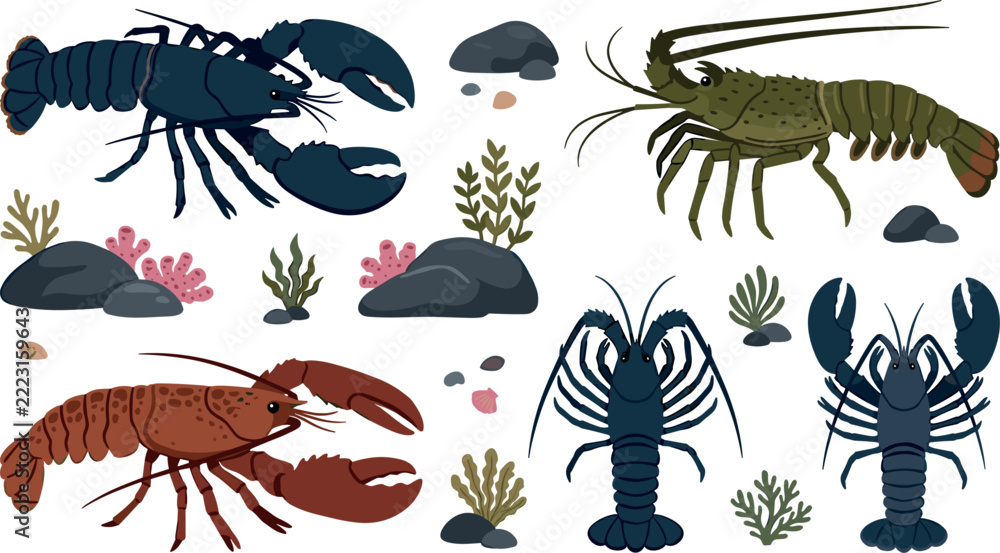 Obraz premium American Lobster and Spiny Crayfish Icon Set with Marine Crustaceans, Undersea Rocks, Coral, and Aquatic Seaweed for Seafood Restaurant Menus and Ocean Graphic Designs