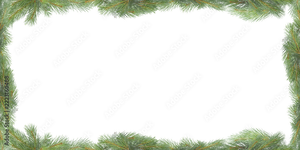 Fototapeta premium Christmas pine branch frame on a green background with space for text.
