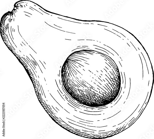 half avocado with seed hand drawn sketch illustration