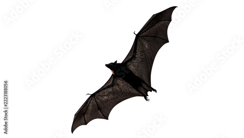 Spooky black plastic bat Halloween decoration holiday festive party ornament isolated on transparent background