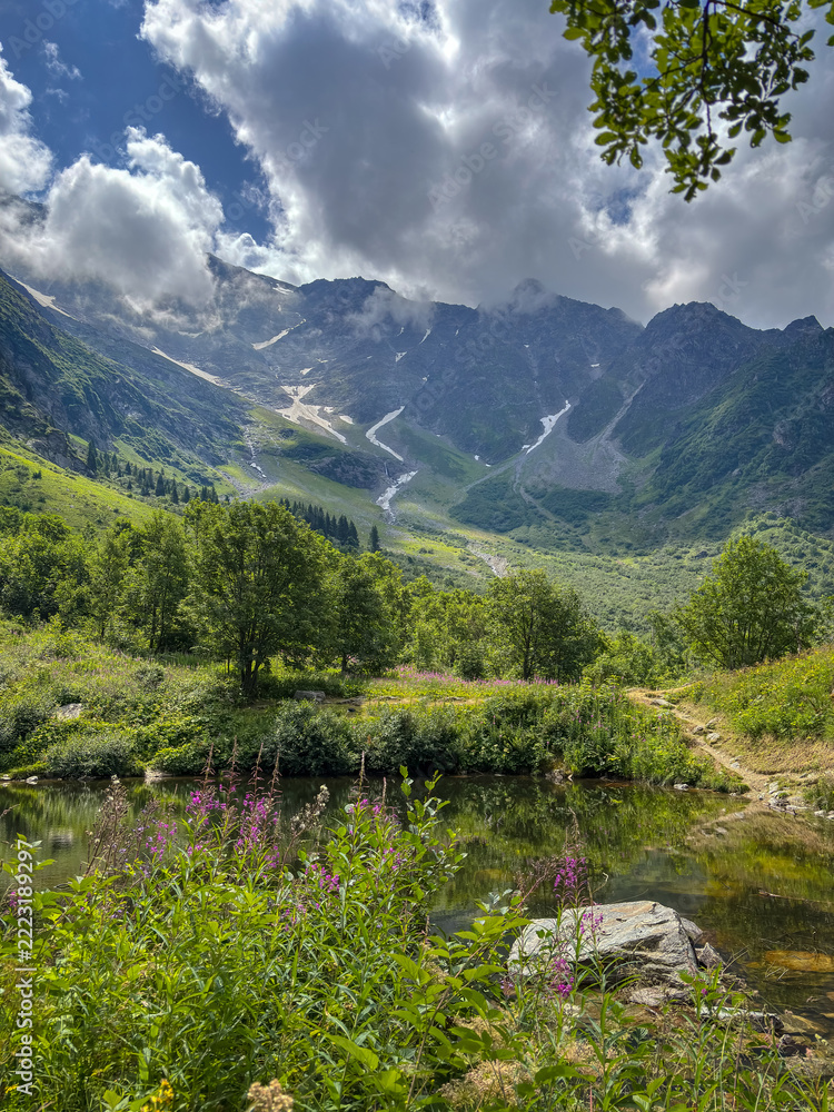 Fototapeta premium Alpine valley with lake and flowers in Les Contamines-Montjoie, France