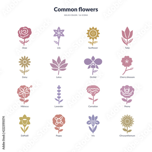 Common flower icons collection in solid color style
