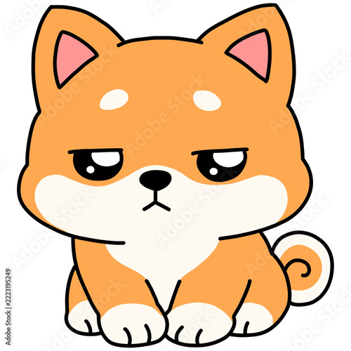 Cute bored Shiba Inu dog with unimpressed expression