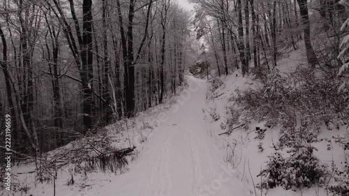 Snow-covered winding forest road flanked by tall deciduous and evergreen trees dusted with fresh snow under overcast sky, soft winter light, serene quiet atmosphere, visible tire and foot tracks.
