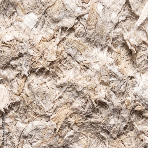CloseUp of Textured Bark Surface with Natural Details.