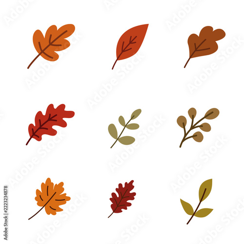 set of autumn leaves