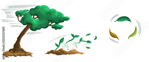 Big Tree Sapling and Flying Leaves Bending in Strong Wind Concept on Isolated transparent Background.