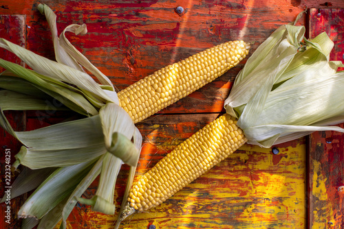 Fresh corn on the cob with husks on rustic wood surface