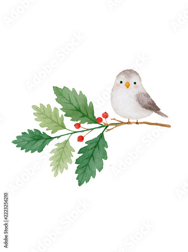 Watercolor illustration of a small bird on a berry branch