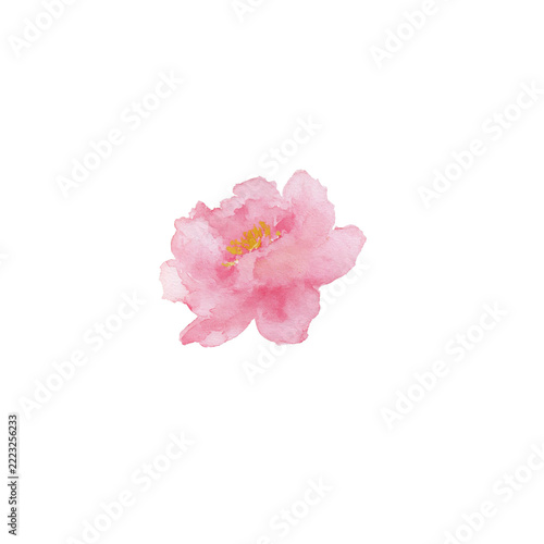 Watercolor pink flower with a black letter background