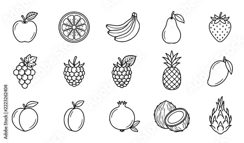 Minimal Botanical Fresh Fruit Line Art Vector Icon Collection