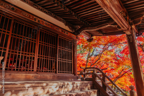 滋賀県の石山寺の美しい紅葉の写真