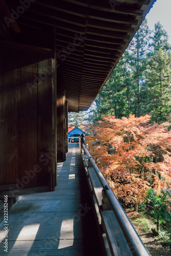 滋賀県の石山寺の美しい紅葉の写真