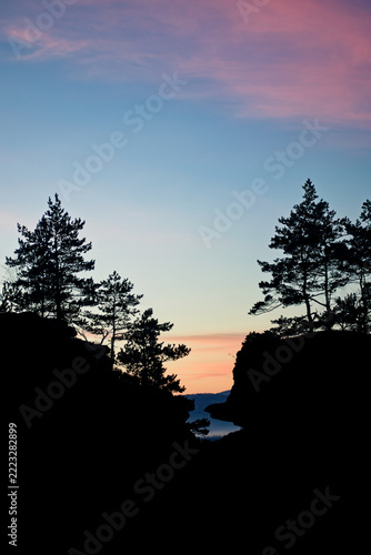 Silhouettes of pine trees on a cliff against a vibrant sunset sky. Scenic wilderness landscape at twilight.