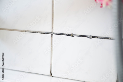 Obraz na plátně Close-up of dark mold and mildew growing along the grout between bathroom tiles