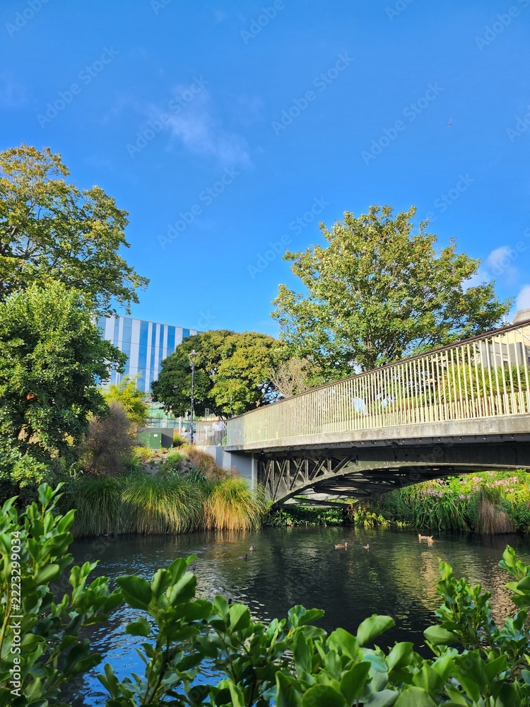 Fototapeta premium bridge over the river