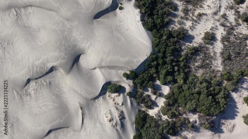 Aerial view of coastal sand dunes encroaching on dense green scrub forest, showing wind-sculpted dune ridges, scattered shrubs, and clear boundary where vegetation meets bare pale sand, sunlight from