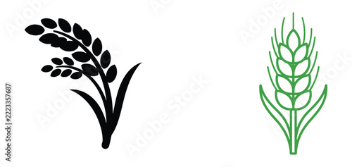 Two of grain stalks, one in black and one in green, representing agriculture and harvest on a white background