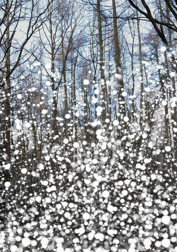 A winter scene of snowfall in a foresr at Christmas