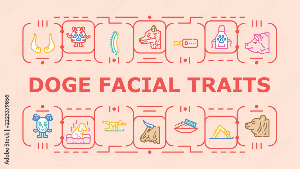Fototapeta premium Doge facial traits banner infographic. Canine eyes, jowls snout, muzzle fur icon vector illustration