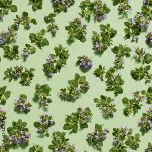 Seamless repeat pattern, tiny thyme leaves and micro purple blossoms, muted pale moss pastel background, flat minimalist graphic,