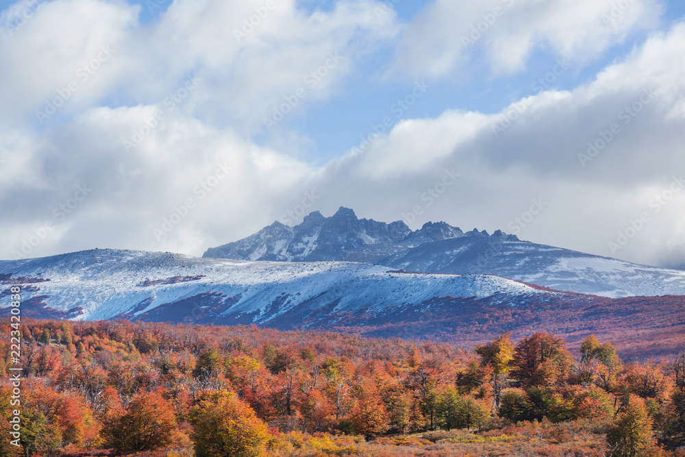 Fototapeta premium Autumn in mountains