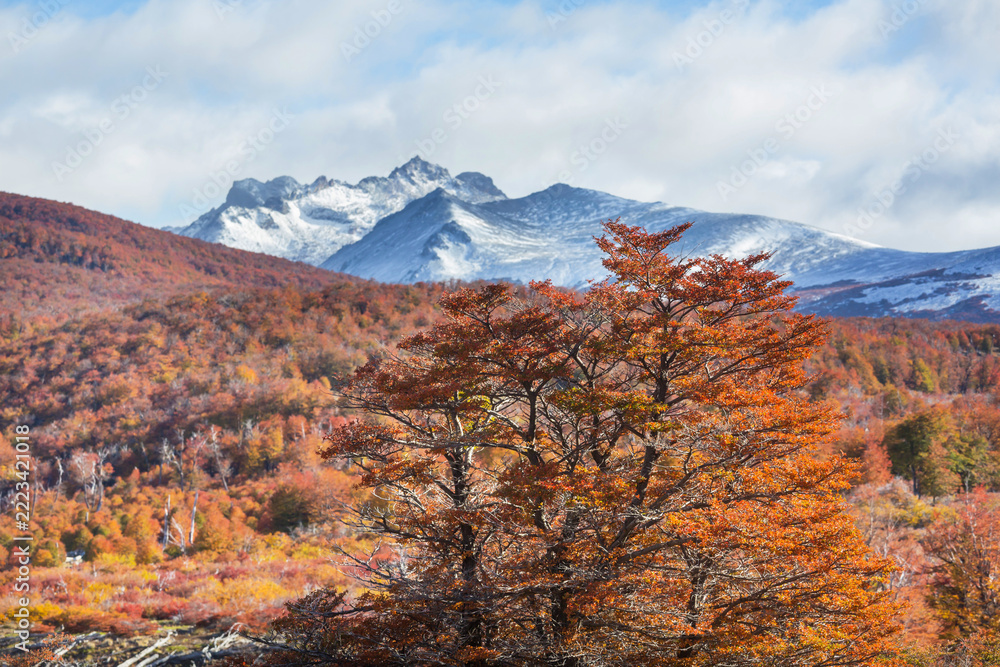 Fototapeta premium Autumn in mountains