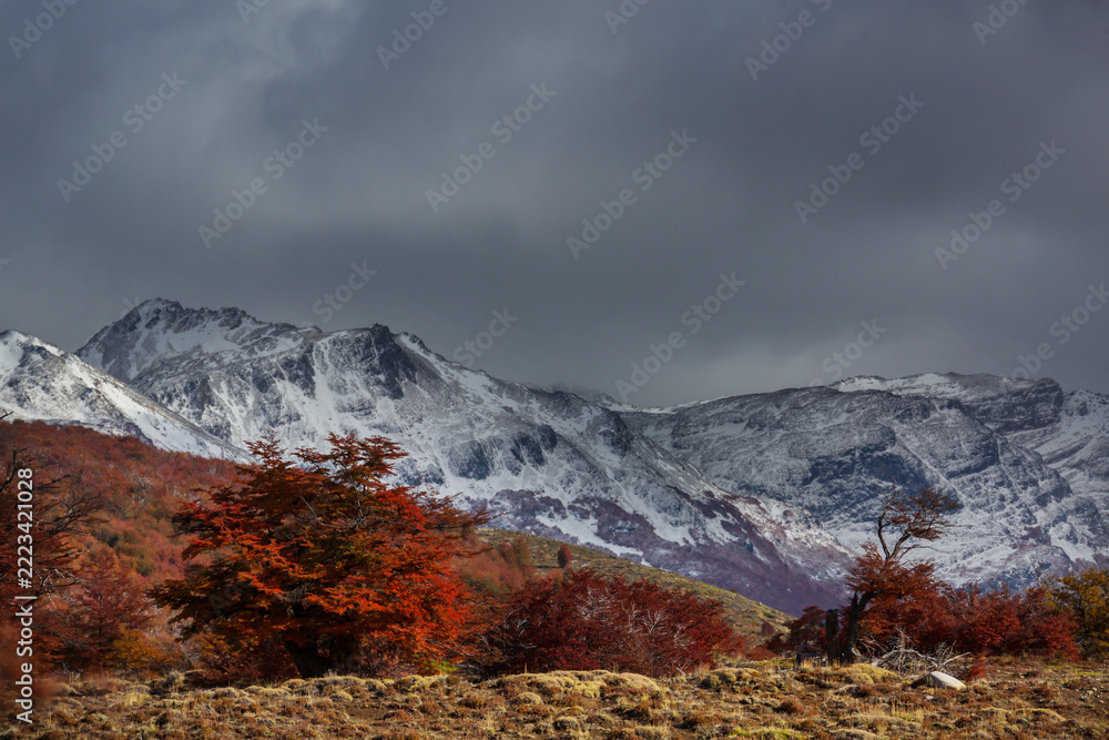 Fototapeta premium Autumn in mountains
