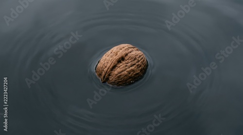 A single walnut floating on dark water with ripples.