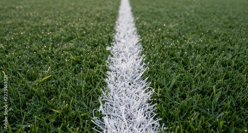 Close-up Of Green Grass With White Line On Sports Field