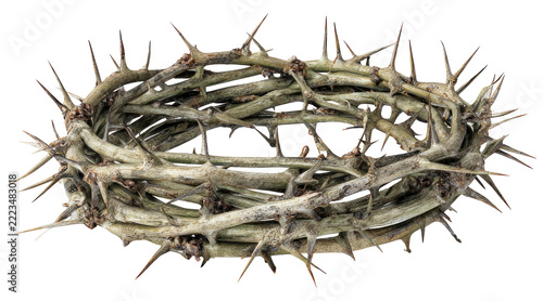 Obraz na plátně crown of thorns, crown, spike, thorns, png, spiky, wood, branch, thorny, dry, is
