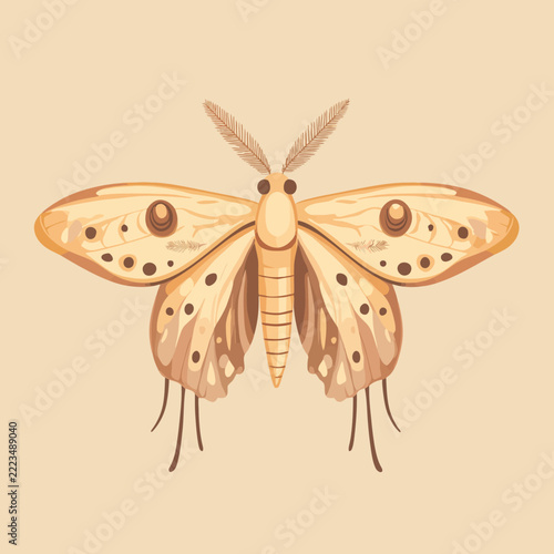 Moth insect illustration vintage style flat design