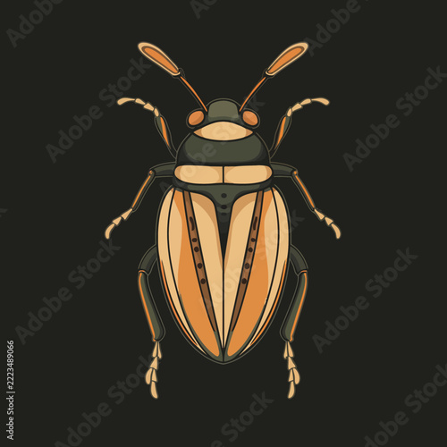Stylized insect illustration isolated on dark background