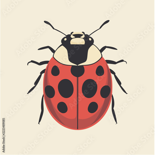 Ladybug insect illustration simple cartoon style
