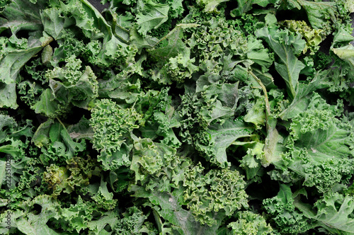 Raw Fresh Chopped Kale Background