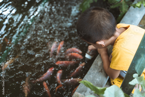 Thai boy feeding fish in a small garden pond, surrounded by lush green plants.