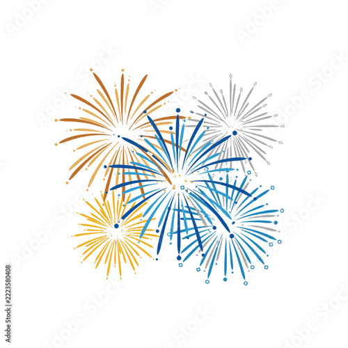 A vibrant burst of fireworks in the night sky.