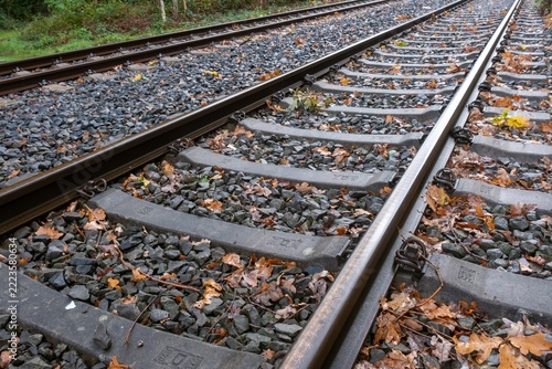 Railway tracks surrounded by leaves on a cool autumn day in a rural area