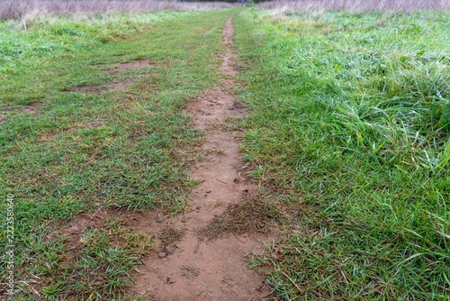 Pathway leads through grassy area in a natural setting during the daytime