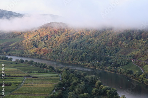 herbstliche Mosellandschaft mit Nebel