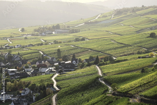 Moseltal bei Kröv, Rheinland-Pfalz