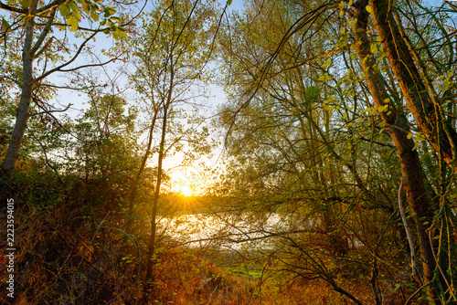Fotografie Regional Natural Area of The Etang du Bout du Monde in Île-de-France region
