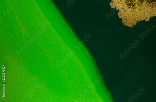 Abstract Green Flow and Golden Glitter Original Hand Drawn Artwork Illustration Made with Ink on Paper.