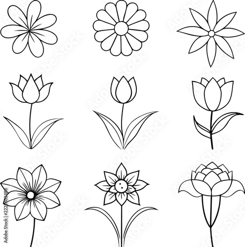 A set of flower line art illustration 