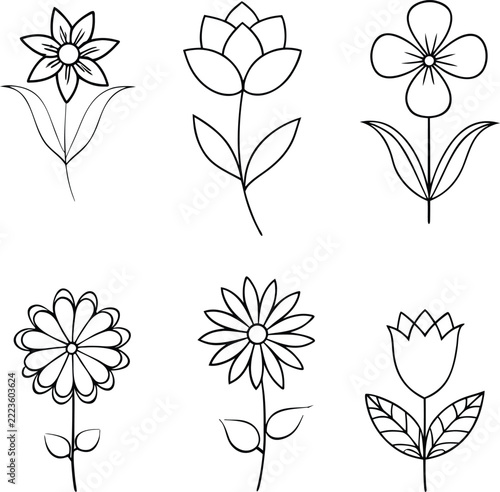 A set of flower line art illustration 