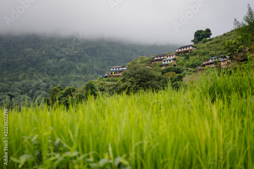 Mountain village above green rice field in misty hills, Nepal