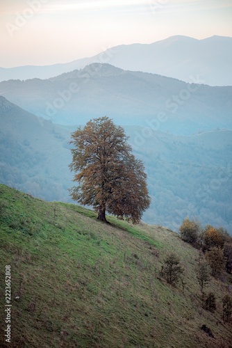 misty morning in mountains
