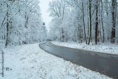 A wet road through a snow-covered forest
